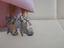 Immagine 3