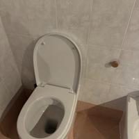 coppia sanitari rak