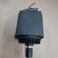 Motore Oleomac EFco 4198007R