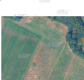 Terreno Agricolo Barbania [A4349190]
