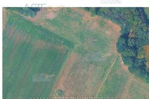 Terreno Agricolo Barbania [A4349190]