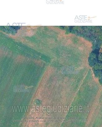 Terreno Agricolo Barbania [A4349190]
