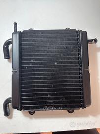 Radiatore originale aerox