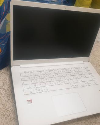  pc Asus portatili 