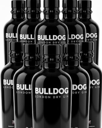 Lotto di 10 bottiglie di gin Bulldog