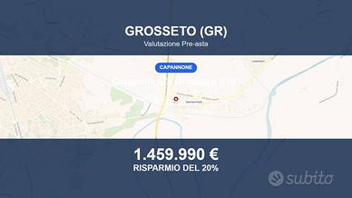 Immobile in asta di 40466 m² a Grosseto