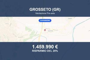 Immobile in asta di 40466 m² a Grosseto