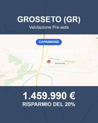 Immobile in asta di 40466 m² a Grosseto