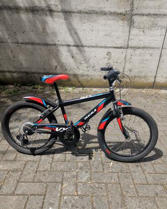Bicicletta bambino 