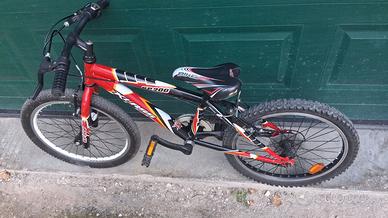 Bicicletta 20" bambino