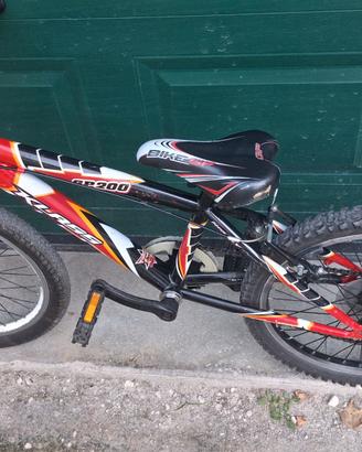 Bicicletta 20" bambino