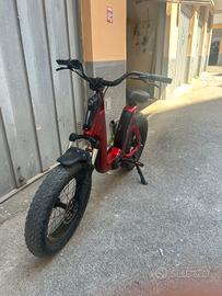 Bici elettrica fantic