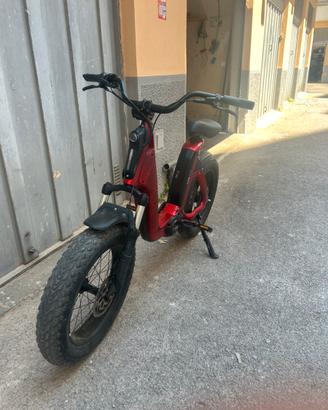 Bici elettrica fantic