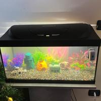 Acquario tetra starter line 54l con mobile