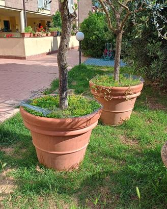 VASI IN COTTO