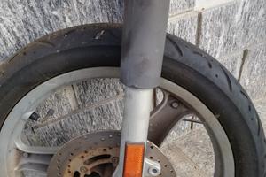 ricambi Malaguti ciak 50 scarabeo anno 2005 carene