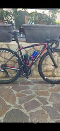 Telaio sworks amira 51