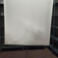 telo estensibile x proiettore