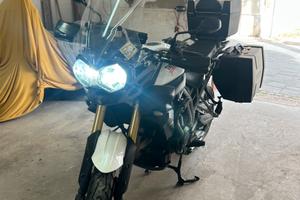 Triuph tiger 800