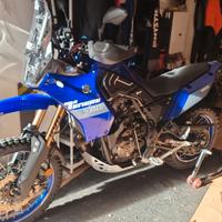 tenere 700 immacolata 