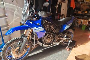 tenere 700 immacolata 