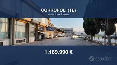 Immobile in asta di 5203 m² a Corropoli