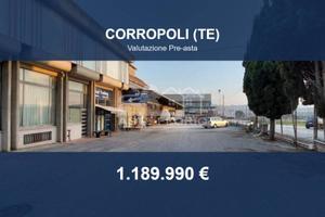 Immobile in asta di 5203 m² a Corropoli