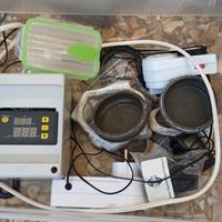 Attrezzatura terrario rettili