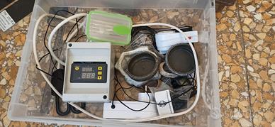 Attrezzatura terrario rettili