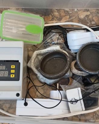 Attrezzatura terrario rettili