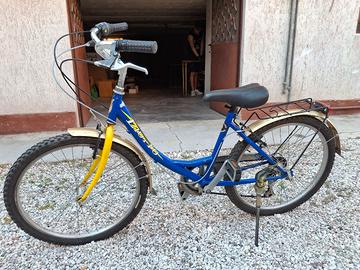 Bicicletta Liotto