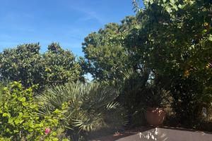 Oasi di tranquillità a Ventotene