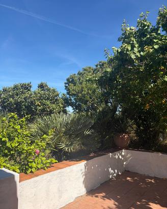Oasi di tranquillità a Ventotene