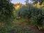 Immagine 14