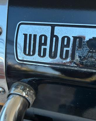 Weber Genesis