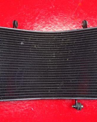 RADIATORE ACQUA DUCATI 1098