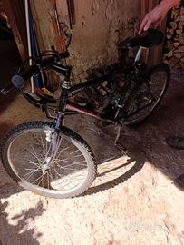 Bicicletta da ragazzo