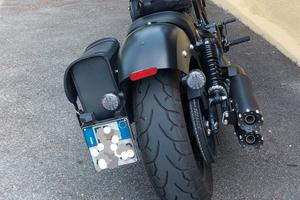 Indian chief dark horse