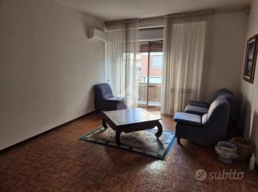 MULTILOCALE A COLLEFERRO