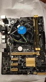Asus H81M-Plus + Intel i5 4460 + 8GB RAM DDR3
