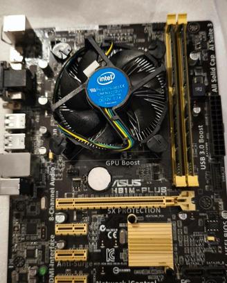 Asus H81M-Plus + Intel i5 4460 + 8GB RAM DDR3