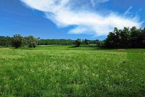 a Prevalle Terreno agricolo irriguo : un