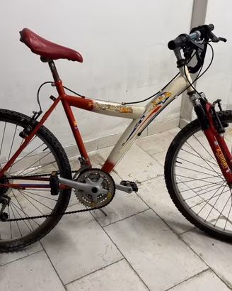 Mtb uomo