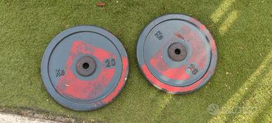 2 dischi ghisa 20 kg l uno pesi palestra Gym 