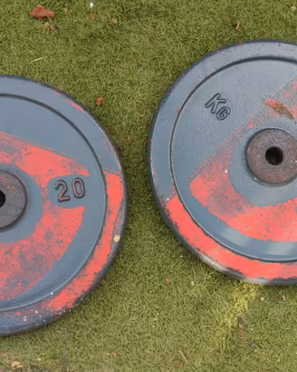 2 dischi ghisa 20 kg l uno pesi palestra Gym 