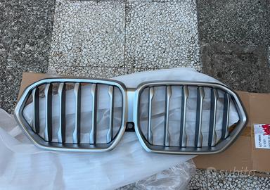 griglia originale rene Bmw x6 g06 dal 2019 al 2026