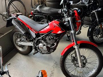 beta alp 200