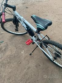 Bicicletta Mountain Bike