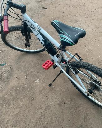 Bicicletta Mountain Bike