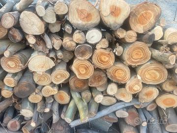 Legna di eucalipto – tagliata in pezzi, Galtelli